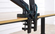 Desktop NB F160 + FP-2 Gas Spring Dual Arm for 17"-27" Monitor Holder + 10"-17" Laptop Support Air Press Mount Stand Load 2-9kg
