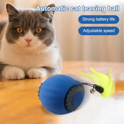 Interactive Cat Toy Ball USB Rechargeable Automatic Rolling Ball Self Rotating Ball Anti-Depression Pet Toy for Indoor Cats