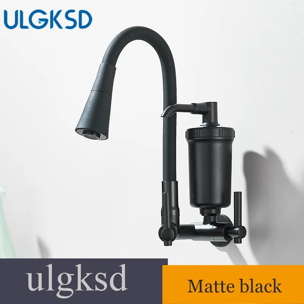 Kitchen Faucet With Filter In Wall Style Vegetable Basin Retractable Water Purifiertap Water Direct Drink Purifier Single Cold