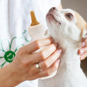 Pet Feeding Bottle Kit With Storage Case Kitten Nursing Bottles Puppy Milk Feeder For Small Animals Newborns Dog And Cat