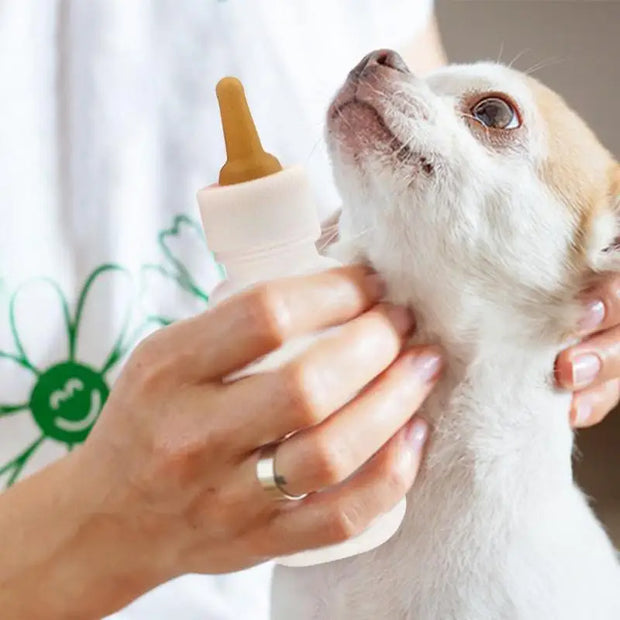 Pet Feeding Bottle Kit With Storage Case Kitten Nursing Bottles Puppy Milk Feeder For Small Animals Newborns Dog And Cat
