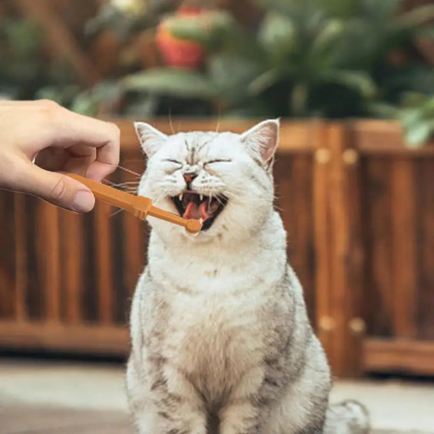 Pet Dogs Toothbrush Brush Silicone Soft Toothbrush Oral Care Puppy Toothbrush Toothpaste Pet Kit Teeth Cleaning Cat Care Supplie